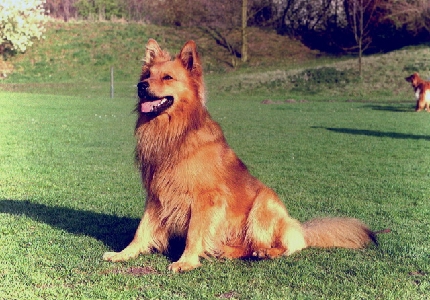79.jpg