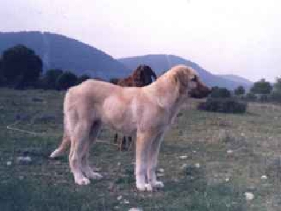 89.jpg