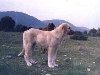 89.jpg